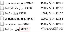640.webp (1)